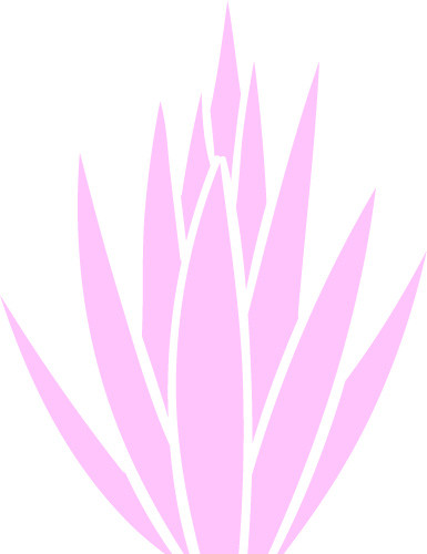 粉色植物免抠素材