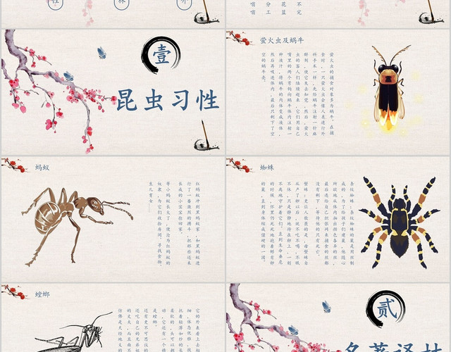 中国风好书推荐昆虫记PPT模板
