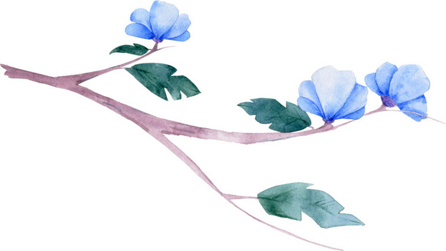 树木上的花朵免抠素材