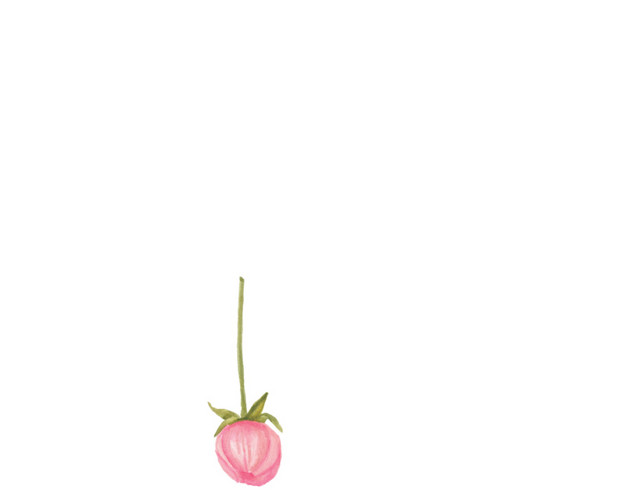 小碎花免抠素材