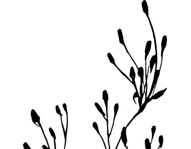 简笔画枝叶免抠素材