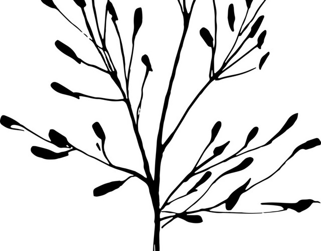 简笔画枝叶免抠素材