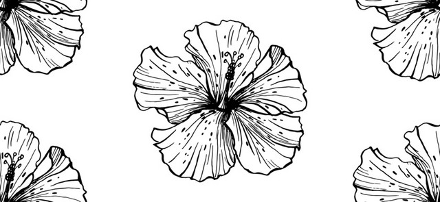 简笔画花朵免抠素材