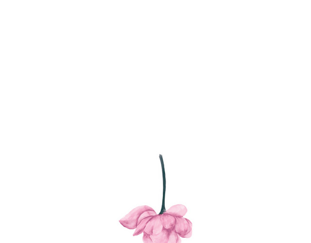 小碎花免抠素材
