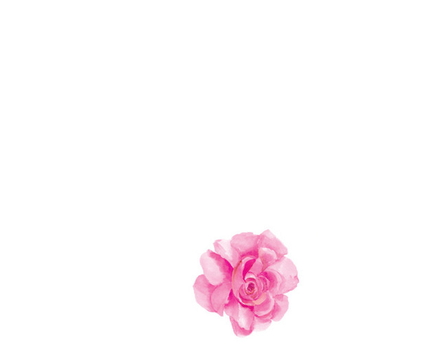 红色小碎花免抠素材