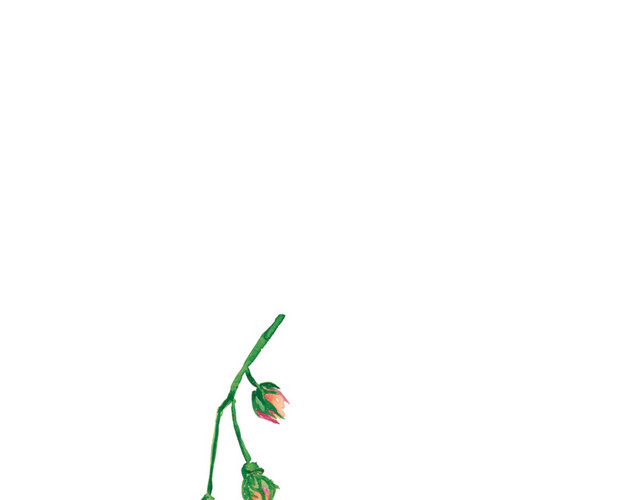小碎花免抠素材