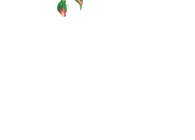 小碎花免抠素材