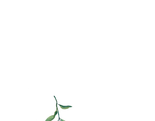 小碎叶免抠素材