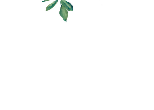 小碎叶免抠素材