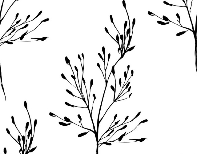 简笔画枝叶免抠素材