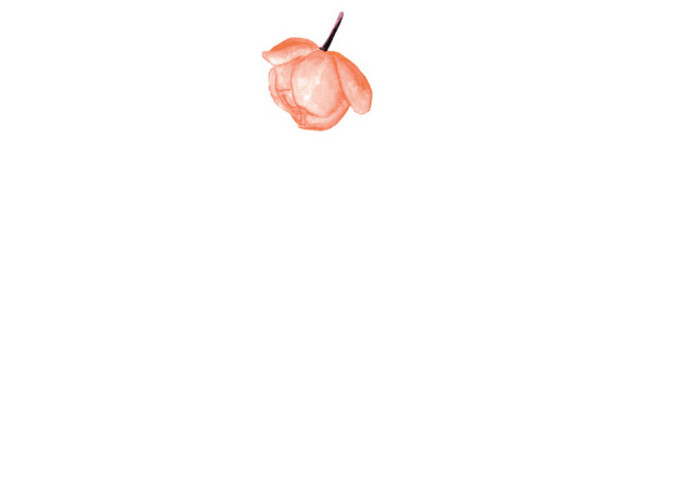小碎花免抠素材