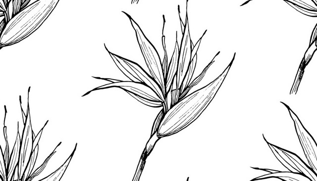 简笔画枝叶免抠素材