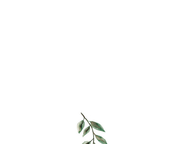 一束绿叶免抠素材
