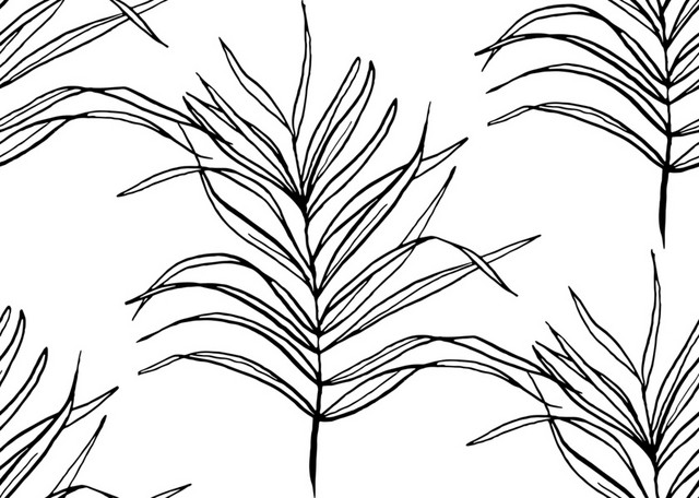 简笔画枝叶免抠素材