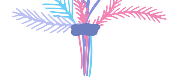 鲜花花卉免抠素材