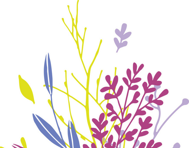 鲜花花卉免抠素材