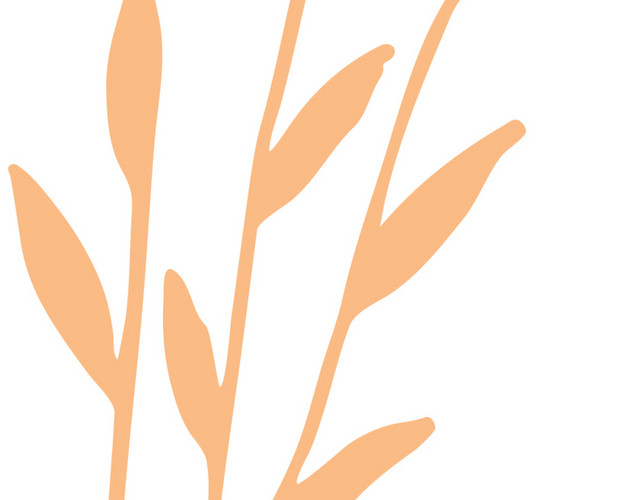橘黄稻草免抠素材