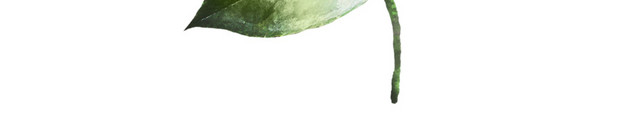 水彩北欧风绿植设计素材
