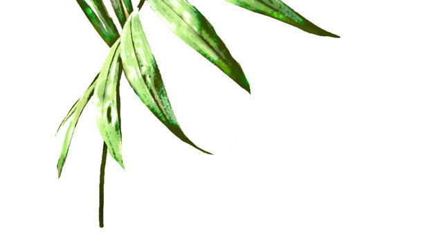 水彩绿色植物叶子设计素材