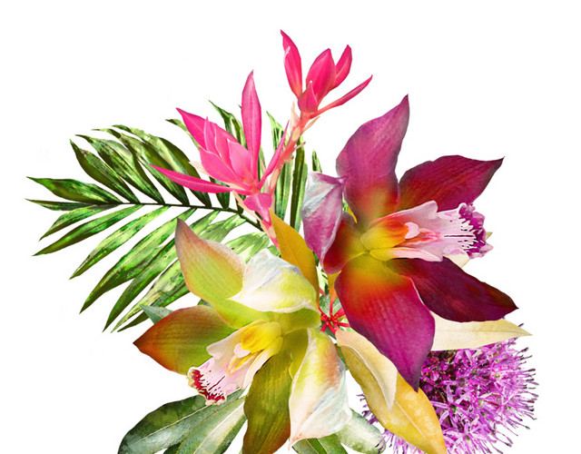 水彩鲜花百合设计素材