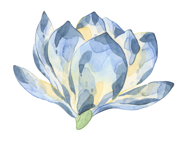 水彩蓝色鲜花花朵素材