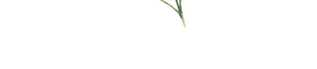 彩绘玫瑰鲜花花枝素材