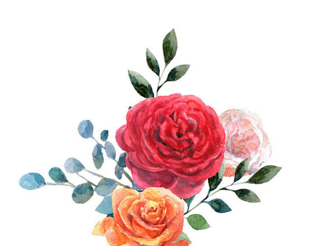 清新彩绘玫瑰花束设计素材