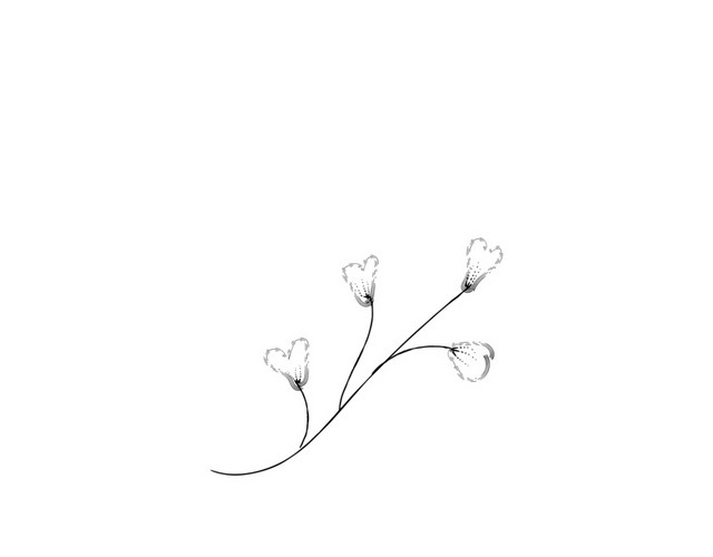 手绘卡通装饰花瓣花草装饰海报设计