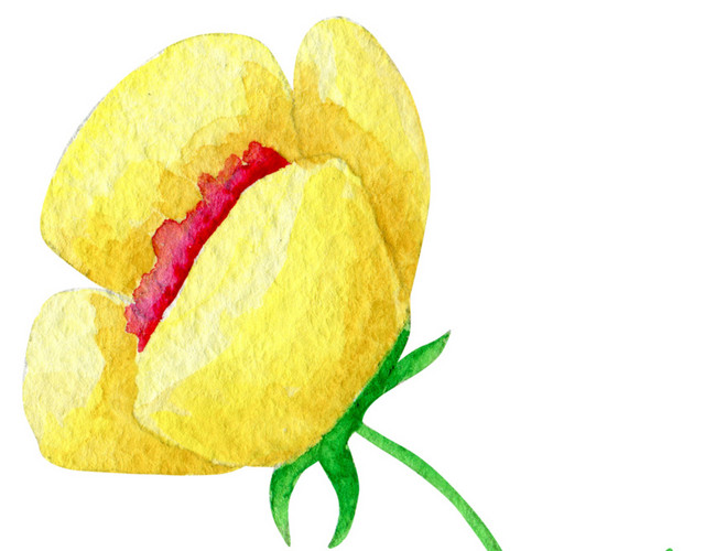 手绘卡通装饰花瓣花草装饰海报设计