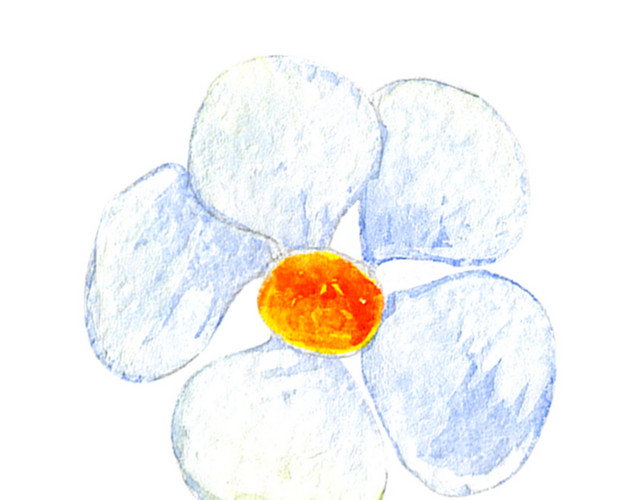 手绘卡通装饰花瓣花草装饰海报设计