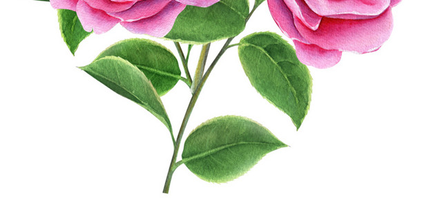 手绘卡通装饰花瓣花草装饰海报设计