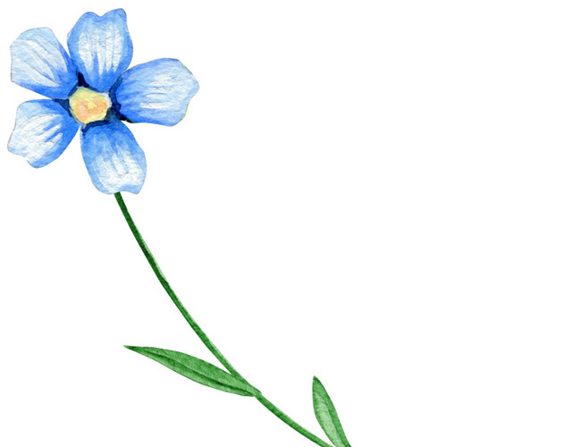 手绘卡通装饰花瓣花草装饰海报设计
