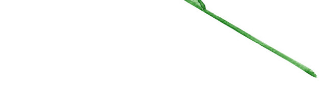 手绘卡通装饰花瓣花草装饰海报设计