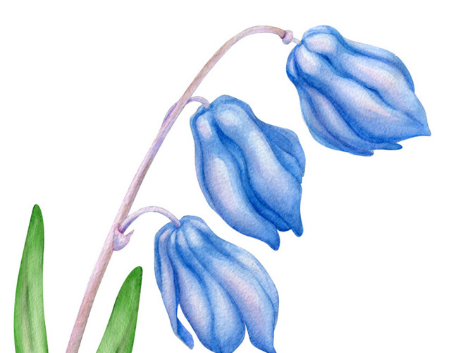 手绘卡通装饰花瓣花草装饰海报设计