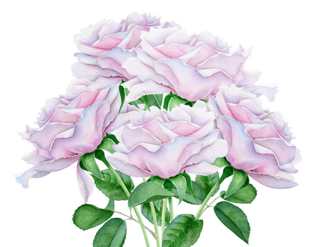 手绘卡通装饰花瓣花草装饰海报设计