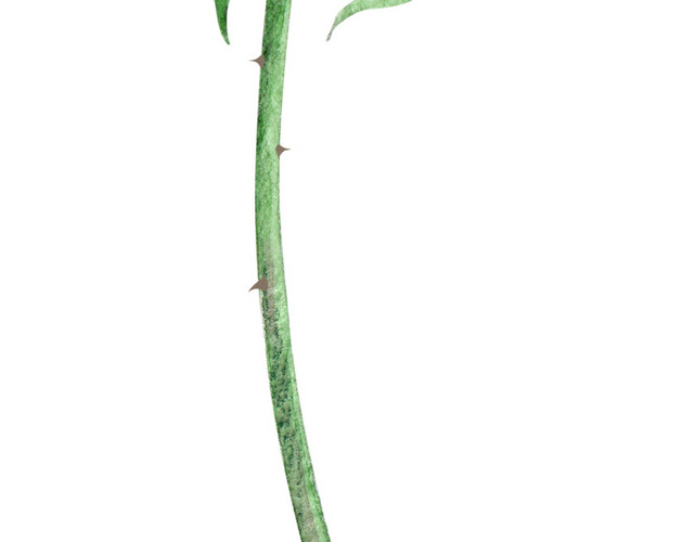手绘卡通装饰花草装饰海报设计