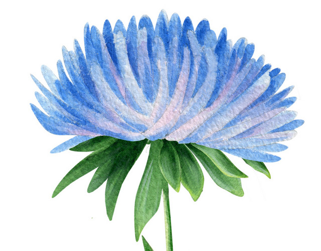 手绘卡通装饰花瓣花草装饰海报设计