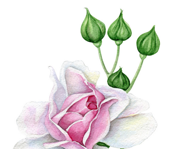 手绘卡通装饰花草装饰海报设计