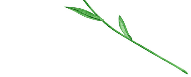 手绘卡通装饰花瓣花草装饰海报设计
