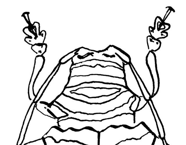 昆虫简笔画素材