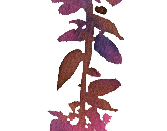 水彩花素材