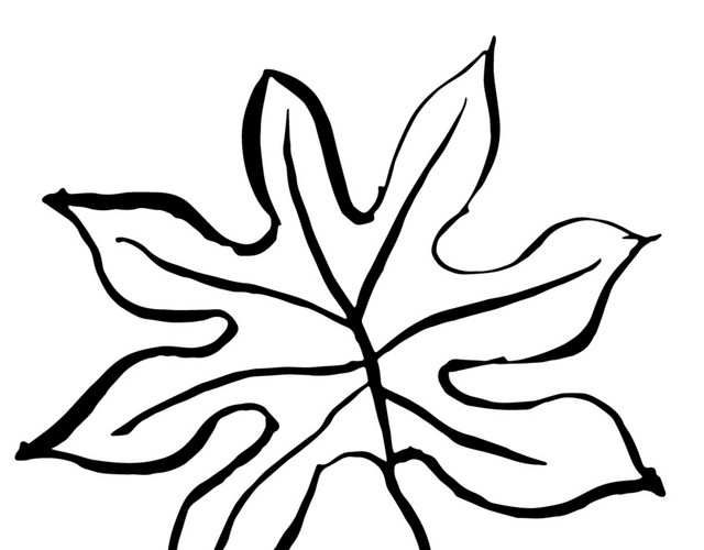 叶子简笔画素材
