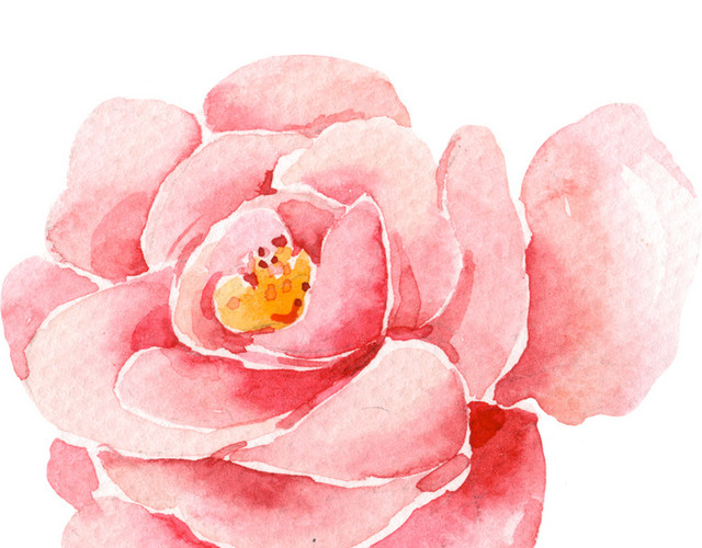 水彩花卉素材