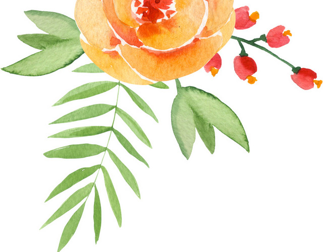 水彩花素材
