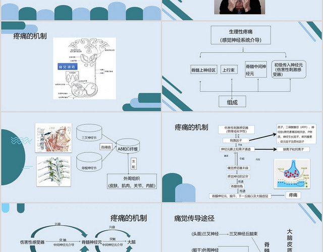 蓝色医疗疼痛护理查房疼痛评估护理PPT模板