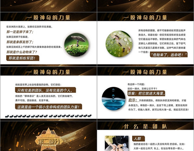 黑金创意简约风打造王牌团队团队意识培训课程PPT模板