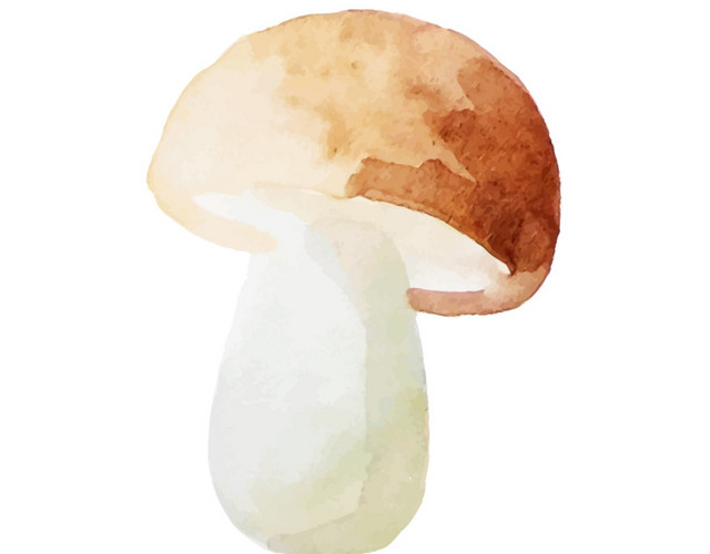 蘑菇素材