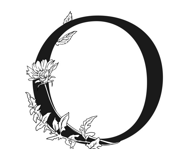 黑白创意花卉字母O设计素材