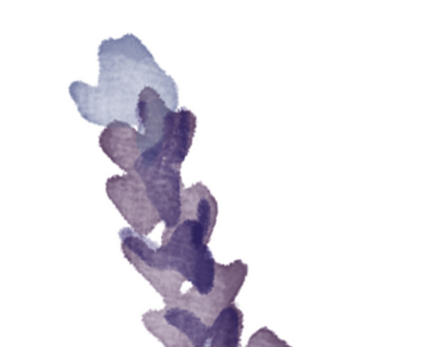 彩色清新花卉手绘水彩插画