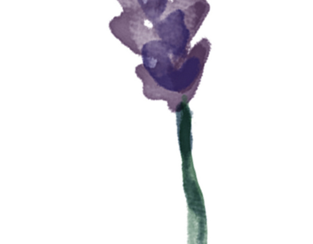 彩色清新花卉手绘水彩插画